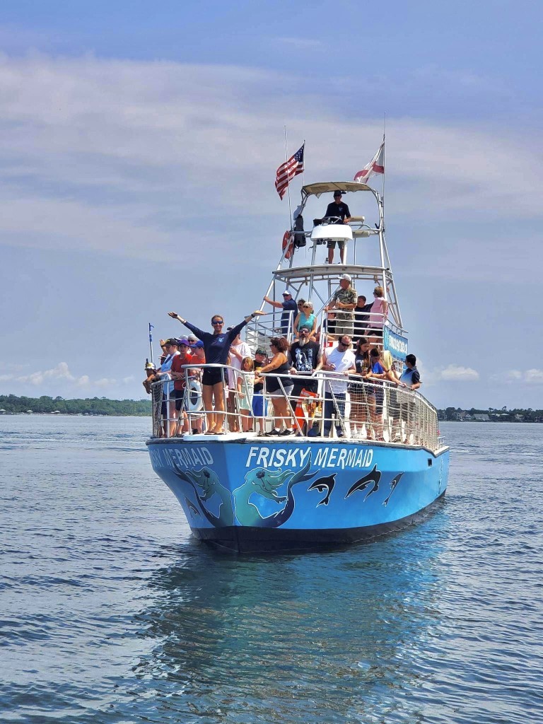 Thanksgiving Day Dolphin Cruise